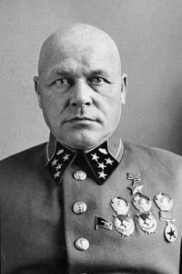 Павлов Дмитрий Григорьевич